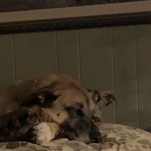 Meet your Posher, Noah